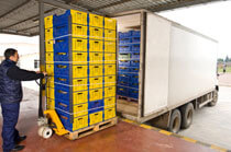 About Our Growers About Fast Delivery