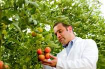 About Our Growers About Food Safety