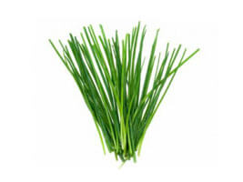 Chives