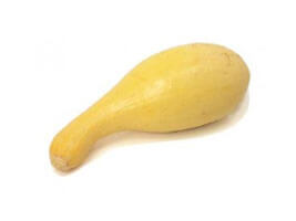 Yellow Crook-Neck Squash