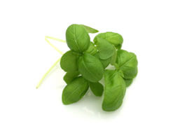 Micro-greens