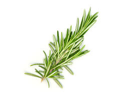 Rosemary