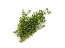 Thyme