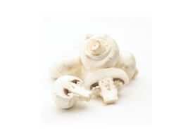 Button Mushroom
